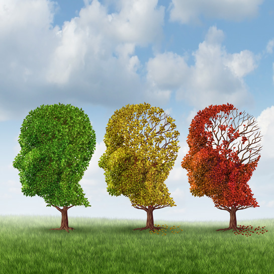 Research advances for Alzheimer's Disease