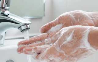 clean hands bug stops here