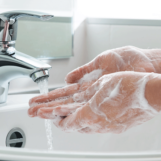 clean hands bug stops here