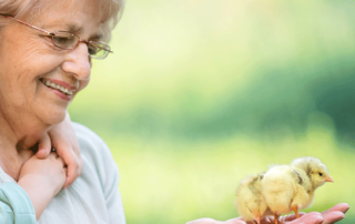 keeping seniors engaged