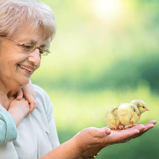 keeping seniors engaged