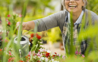 gardening tips for seniors in care homes