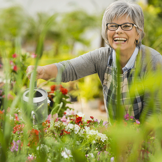 gardening tips for seniors in care homes