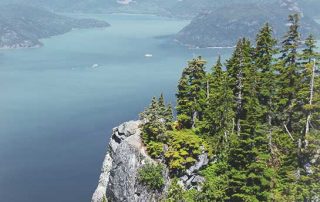 Care At Home Services Nature View