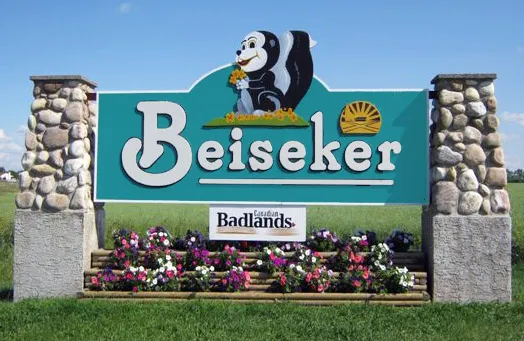 Calgary Skyline services for seniors