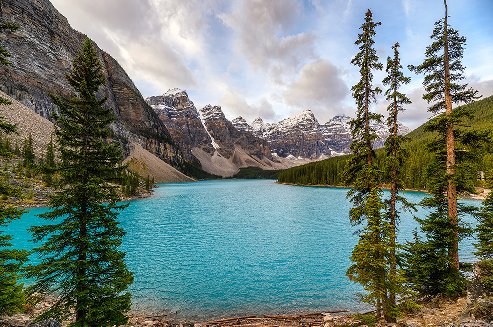 Calgary Skyline services for seniors
