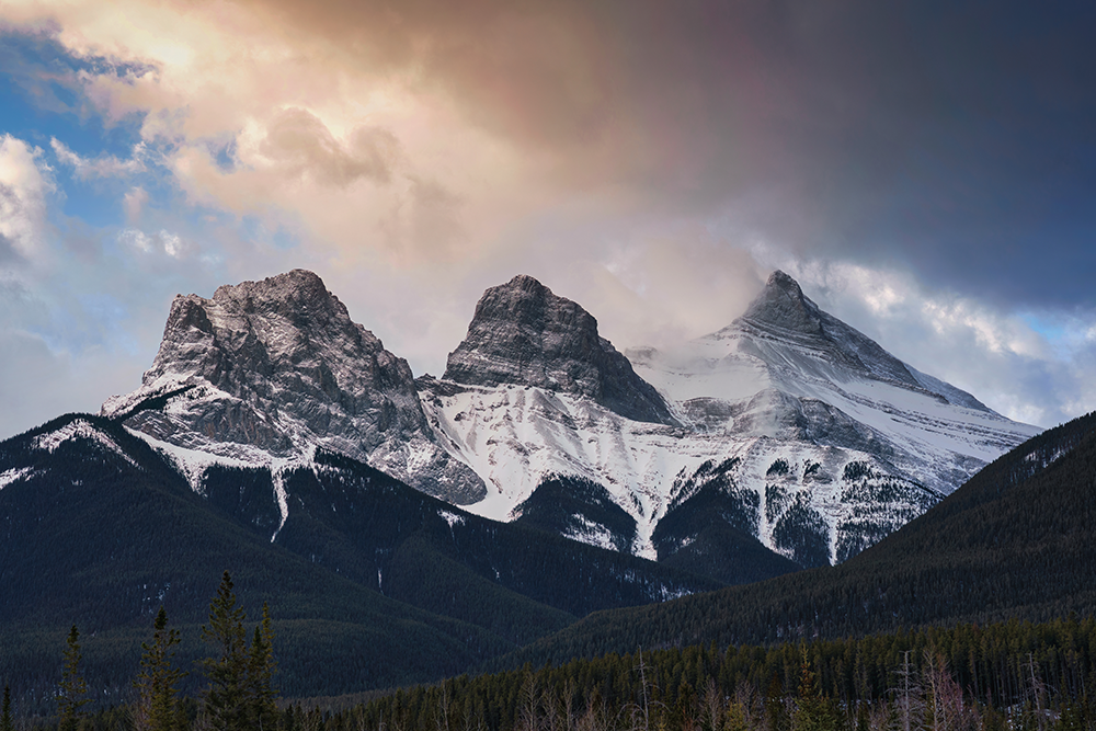 Calgary Skyline services for seniors